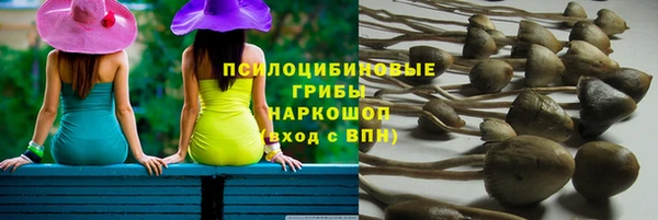 гидропоника Арсеньев