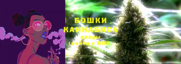 СК Аркадак