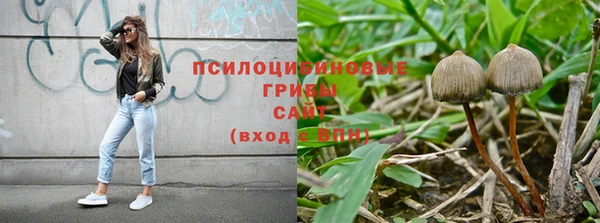 СК Аркадак